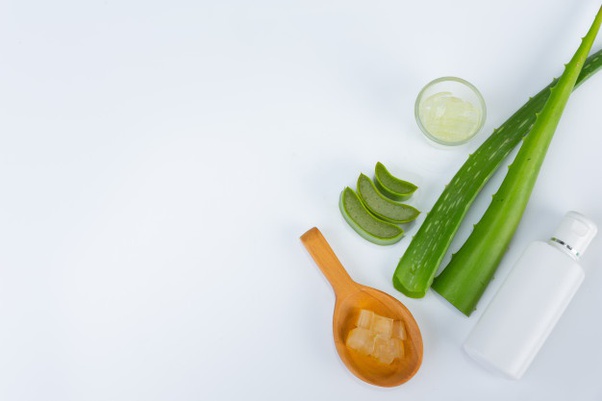 Aloe vera yağı ve hindistan cevizi yağı karışımı