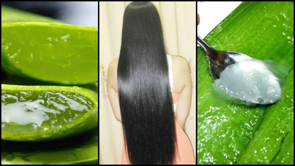 Aloe vera ile doğal saç bakımı