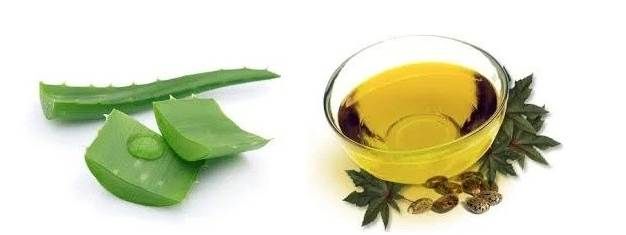 Hint yağı ve aloe vera saç maskesi