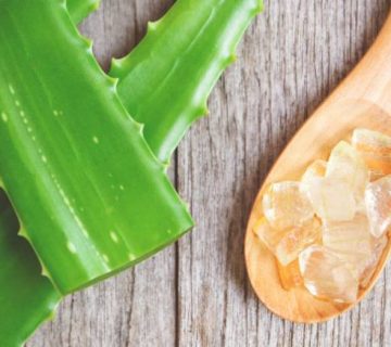 aloe vera